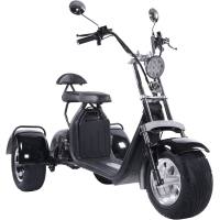 Электроскутер CityCoco Trike Kugoo C5 Pro