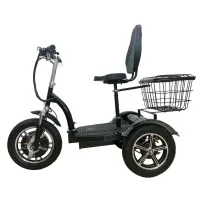 Электросамокат трехколесный HEADWAY BL-750 BIG